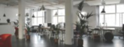 Cómo las plantas naturales transforman espacios en hostelería, oficinas y locales comerciales 